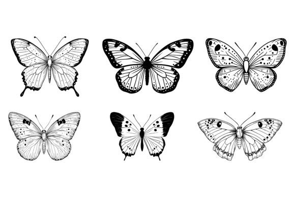 The Butterfly Collection: A Special AI EPS Illustration Set